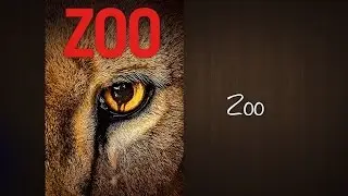 Zoo | CBS