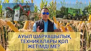 Жүгері өсірудің машақаты қандай?     