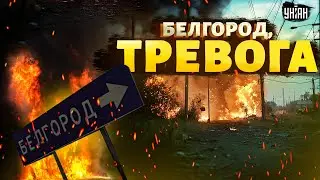 Белгород, ТРЕВОГА! Гладков в панике. Объявлена срочная эвакуация