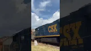 CSX M441