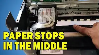 EPSON PRINTER PAPER JAMS AND STOPS IN THE MIDDLE WHILE PRINTING-PRINTHEAD STAYS ON THE LEFT