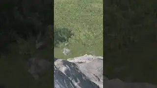 I received a weird phone call - Rust
