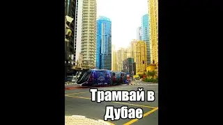 Трамвай в Дубае