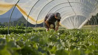 Modern homesteading for healthy lifestyles (BC Farmers' Market Trail Stories, Pemberton BC)