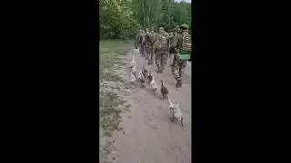Боевые гуси-камикадзе.
