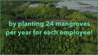 TreebuddyEarth: Climate Positive Employees