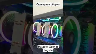 Серверная сборка на двух Xeon и Jingsha