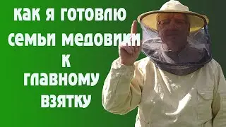 How I prepare the families of medoviki for the main bribe.