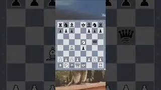 жертва всех фигур ради мата! 