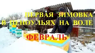 Зимовка в пеноульях на воле  Февраль 2023г. Карника  Южный Урал