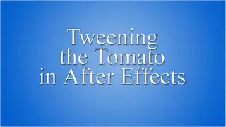 Tweening the Tomato in AE