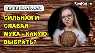 What is STRONG, WEAK FLOUR? What kind of flour is needed for sourdough bread?