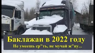 Вести про Фредлайнер. Когда поставили на зимовку, потому-что 