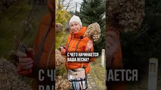 А с чего начинается ваша весна в саду?)