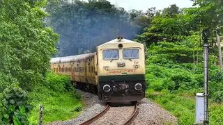 Diesel ERA || 16102 Kollam Chennai Express with GOC WDP4D!