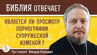 Является ли просмотр порнографии супружеской изменой ?   Протоиерей Феодор Бородин