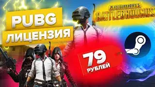 HOW I BOUGHT A LICENSED PABG FOR 79 RUBLES | WHERE TO BUY PUBG DESHEVO