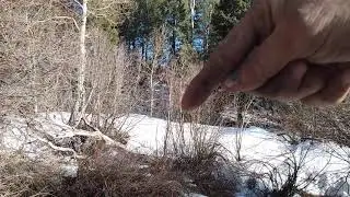 The bottom of the ridge
