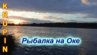 На Оке в августе. Ловля на фидер бели для засола.