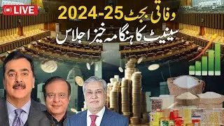 Budget 2024-25 - Heated Debate In Senate Session |  24 News HD