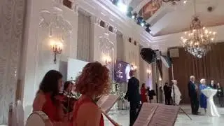 Струнный квартет с флейтой City Music - Вивальди "Времена года"
