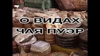 О видах чая Пуэр   Шу, Шэн, Бай Хао, Цзы Я, и другие