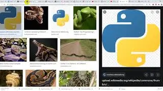 Download files with progress in Python