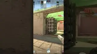 CS2: When You're the Only One Taking the Game Seriously 😒💪 