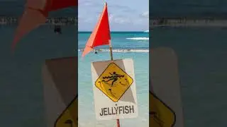 Hawaii beach signs lie