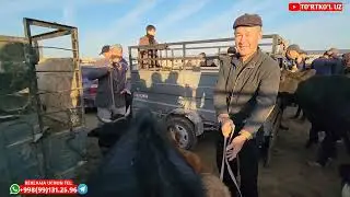 БУГУН САВДОЗУРБУЛДИ 19.10.2023.|  ЭЛЛИККАЛЬА БУСТОН МОЛ БОЗОРИ