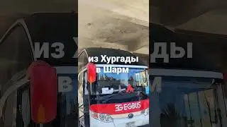Еду в Шарм Эль Шейх обзор отелей  💪😁🇪🇬