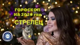 Стрелец. Гороскоп   на 2020-й год. Любовный гороскоп.