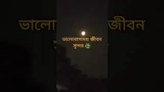 তুমি ক'দিনের জন্য এসে, অনেক দিনের জন্য চলে গেলে..!!#shorts #lovestory #story #sadstory