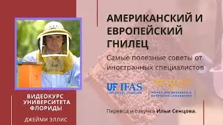 Американский и Европейский гнилец (Университет Флориды) - самые опасные грибковые  заболевания пчел!