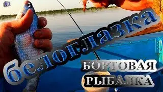 Бортовая рыбалка #2 Белоглазка