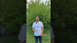 Seni neden anlamak istemez?