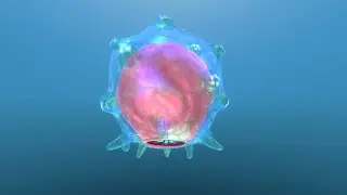 Заполнил капсулу поплавками -  Subnautica!