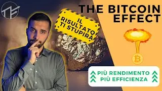 THE BITCOIN EFFECT: conviene inserire BTC nel portafoglio?