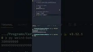THIS Python behaviour is WEIRD… 