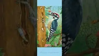 Короткий стишок | Дятел М. Стельмах 
