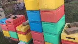 Два сезона с шестирамочными ульями ППС / какие грабли наступил / пасека 2024