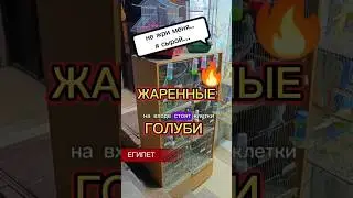Пробую жаренных голубей 