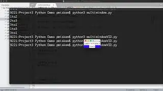 Tkinter - GUI Example Multiple Display Frames