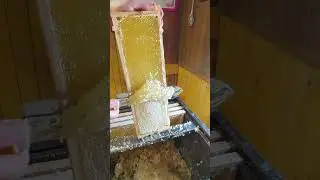 распечатка рамок с мёдом #shorts