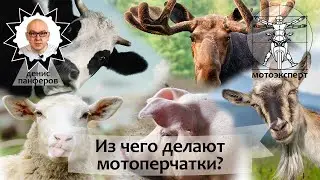 Из чего делают мотоперчатки? Насколько важен материал при выборе? Советы эксперта