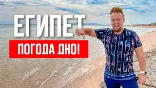 Египет. Погода ДНО! Даже мне холодно! Обзор отеля Royal Albatros Moderna 5*. Шарм эль Шейх