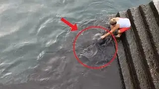 Мальчик просто кормил рыбок в море. Как вдруг, на поверхность выплыло ЭТО