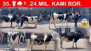 22.MIL. 24. MIL. SHU ROTMI VIDYONI OXIRI DAXSHAT BOʻLDI😲🏃📞99-801-65-40
