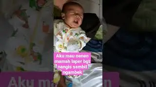 lucu reaksi bayi saat laper bgt nangis sambil ngambek. 