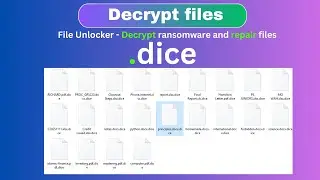 The Ultimate Guide to Decrypting Ransomware and Data -  .dice-  #decrypt #recovery